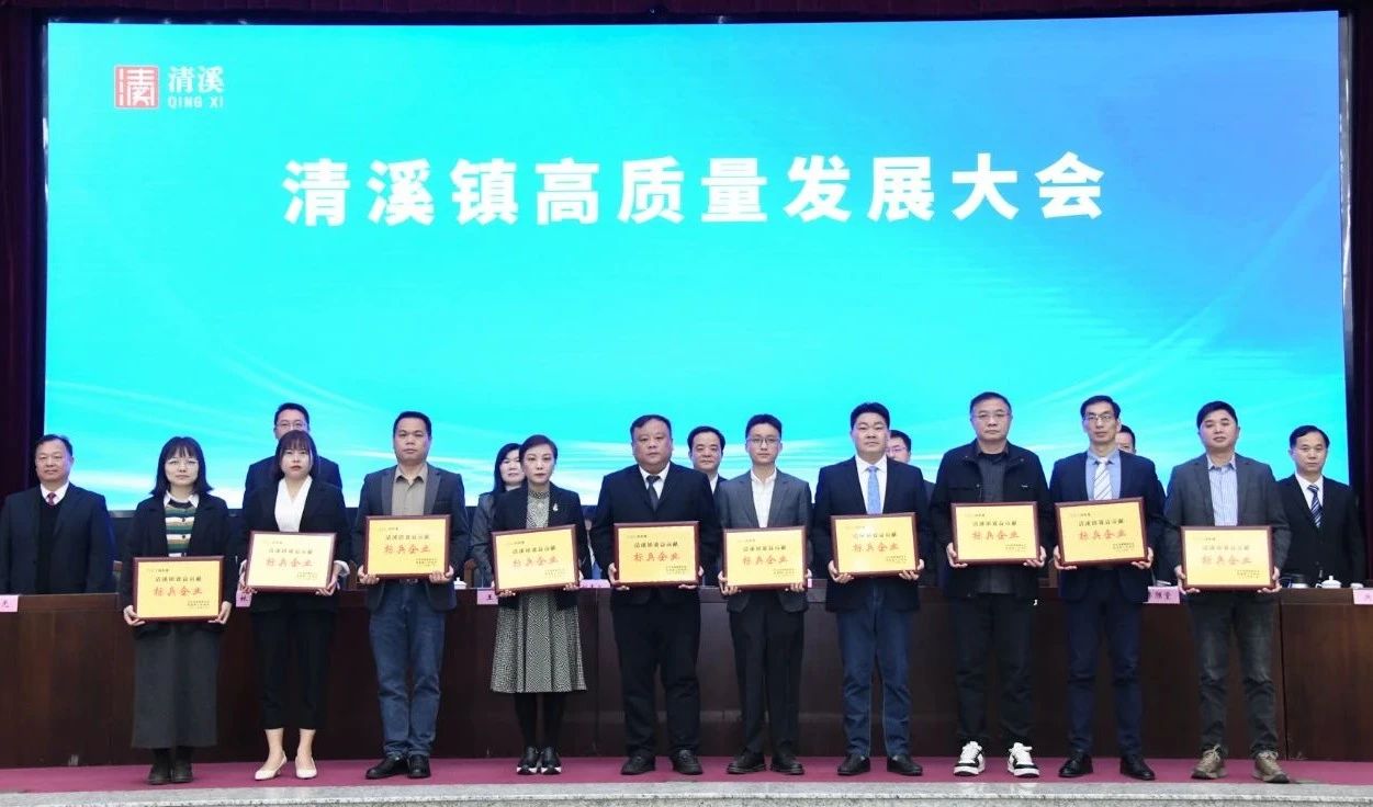 喜讯：1929cc威尼斯平台科技荣获2024年度“清溪镇主营业务收入及效益贡献标兵企业”